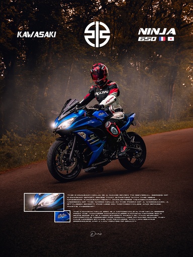 Poster - Kawasaki Ninja 650